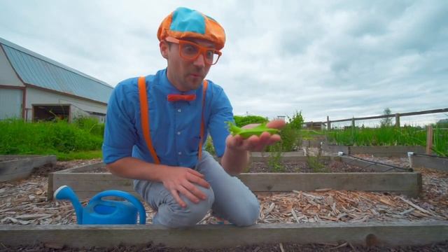 Блиппи (Blippi) - Моем машину вместе с Блиппи!   Блиппи на Русском   Изучай этот Мир вместе с Блиппи