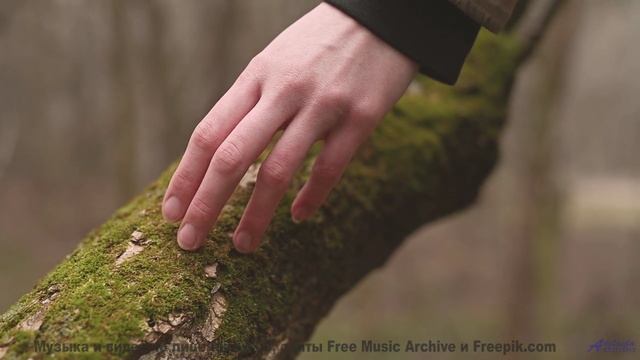 Поля стелются мягче под такой мощной музыкой - Inner Love -- Vincent Augustus -- Inner Love