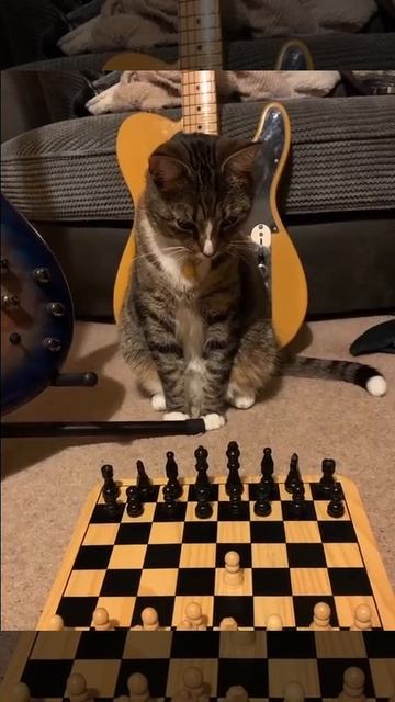 Посмеяться 41