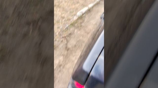 VID_20250524_203348.mp4
