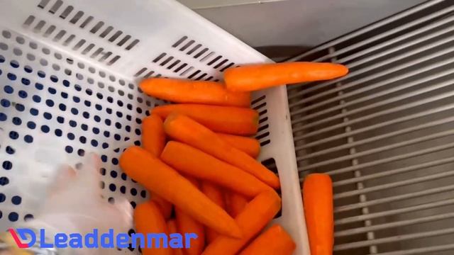 Машина Leaddenmar Kpel L500 ножевая очистка моркови