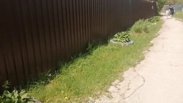 24-05-2025 пошла погулять у город