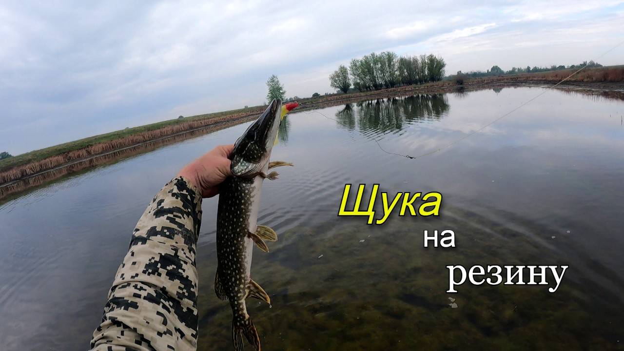 В озере воды по колено, а щука бросается на все приманки. Рыбалка весной на спиннинг