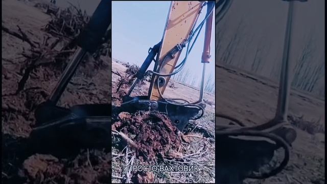 Дёргает корни