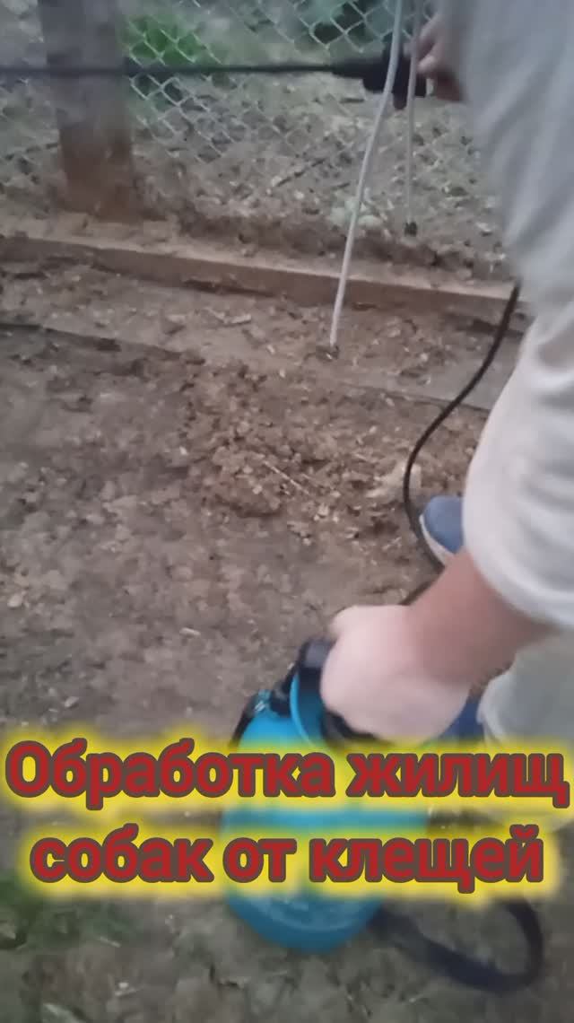 Краткий обзор как обрабатывали жилье у собак, полные видео смотрите позже.
Сейчас нужна глистогонка