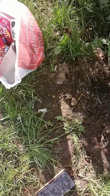 VID_20250524_173228.mp4