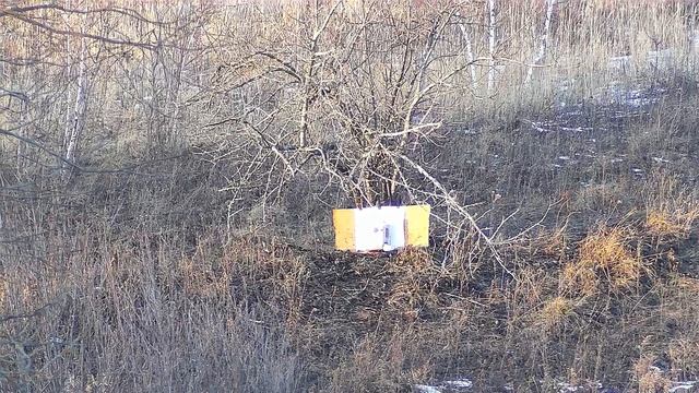 75м день пристрелка дозвук