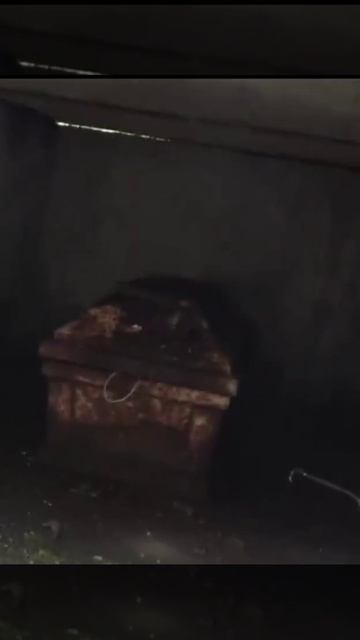 В этом гробу что-то живое...