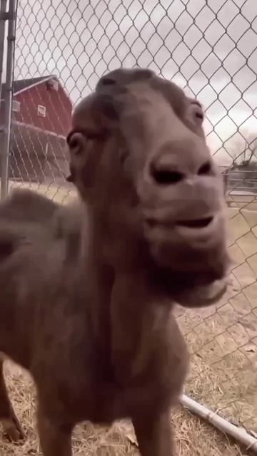 1000008779.mp4