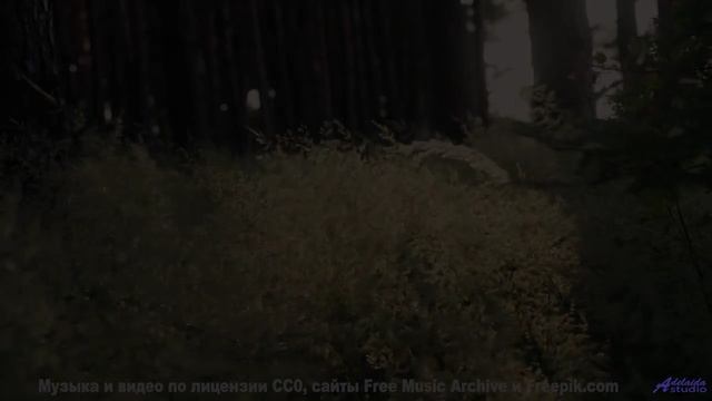 Природа звучит как никогда честно под этот саунд - Hammer and Bridge -- Ayla Nereo -- Play Me a Time