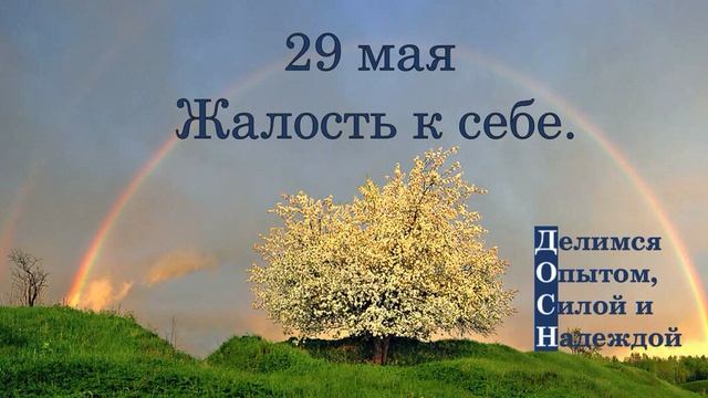 29 мая. Жалость к себе.