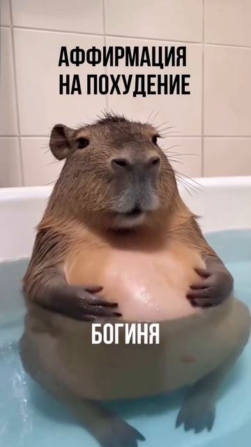Как вам аффирмация?