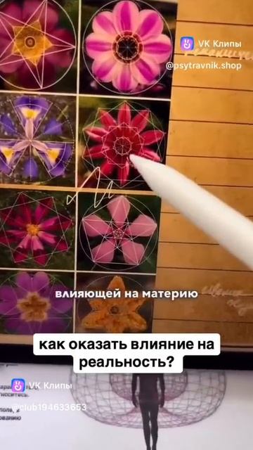 волна