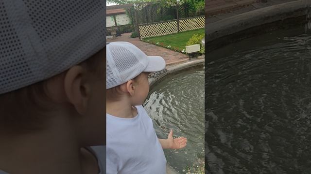 Миша в парке