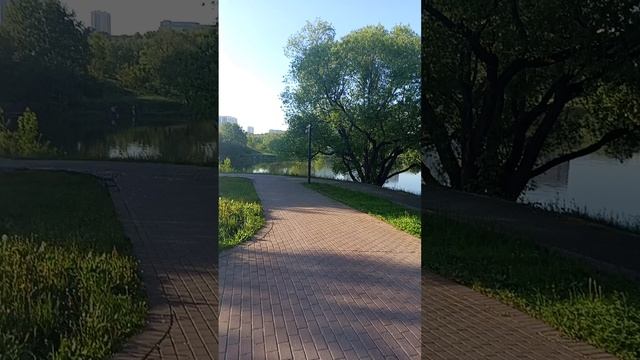 1000013386.mp4