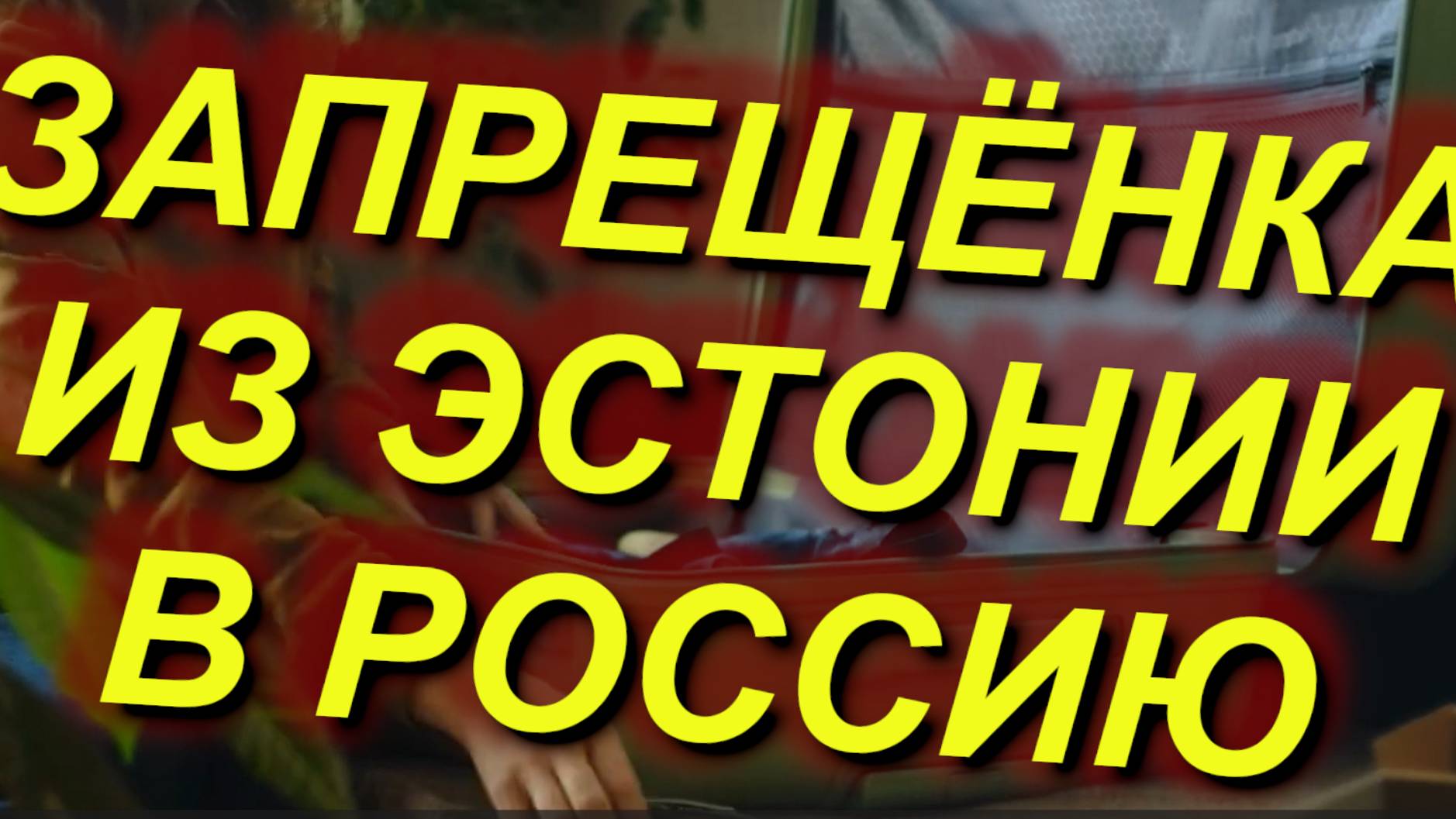 ЗАПРЕЩЁНКА ИЗ ЭСТОНИИ В РФ.Что запрещено вывозить? Таможенные правила Эстонии: наземный тр-т +пешком