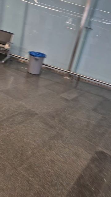 Жесткий спец контроль в Аэропорту Внуково