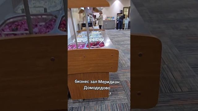 бизнес зал Домодедово