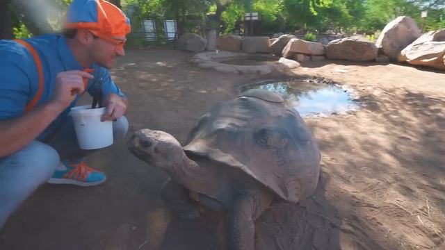 Блиппи (Blippi) - Песенка Про Ферму👩🌾   Обучающие песни для детей   Blippi Russian
