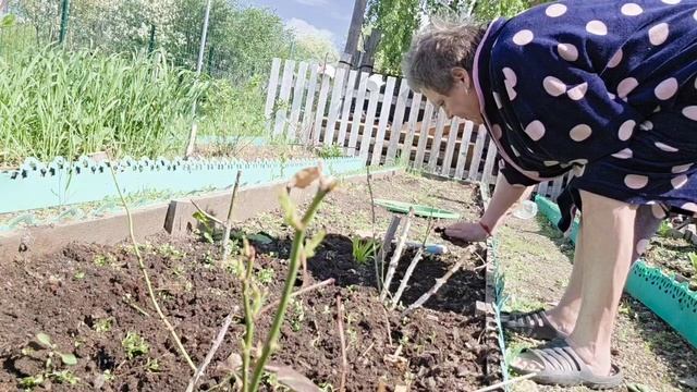все что можно наснЯмала  , и это ТУТА