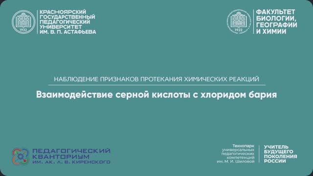02. Взаимодействие серной кислоты с хлоридом бария/признаки протекания химических реакций/опыт
