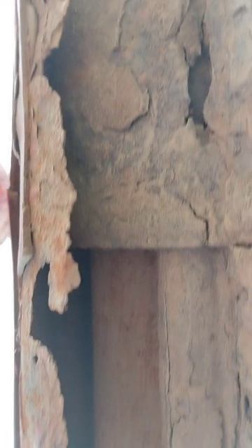 VID-20250401-WA0055