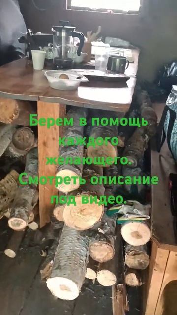 Беседка 03.07 / Ноксинский лес #казань #татарстан #лето #п?