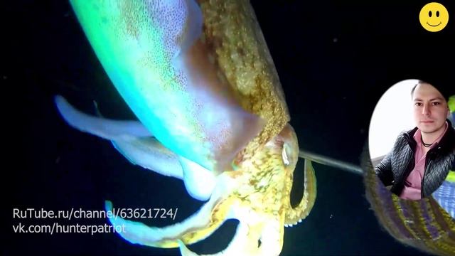 НОЧНАЯ ПОДВОДНАЯ рыбака - ОХОТА НА крупную РЫБУ НОЧЬЮ