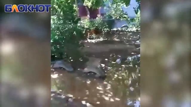 Двор на 30 лет Победы в Волгодонске ушел под воду из-за ?