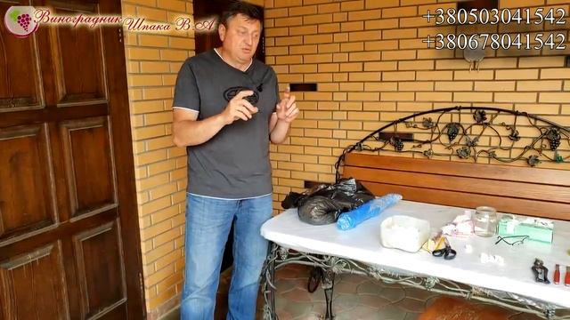 ПРИВИВКА ВИНОГРАДА ОТ А ДО Я! ЛУЧШАЯ ПРИЖИВАЕМОСТЬ. ОЧЕНЬ ПРОСТОЙ СПОСОБ. СМОЖЕТ КАЖДЫЙ!