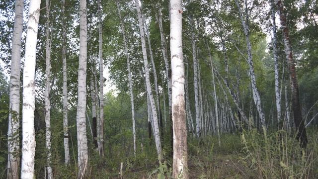 Омск с Окунями, фильм 2й
