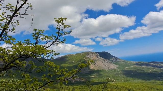 Кудрявая Марья.  Эльх -Кая в мае.  не пожалеешь!!!