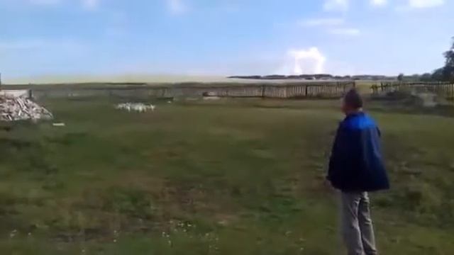 Мужик зовет гусей. Послушные гуси. Дрессированные