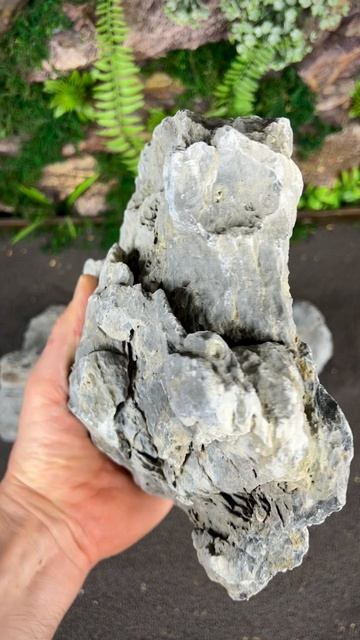кам97