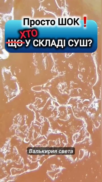 Что (кто) в составе суши?