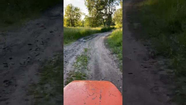 Прогулка на «Днепре» по берегу Оби😍 не мотоцикл а ТАН