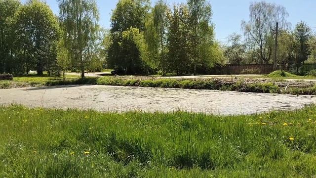 Наша деревня-дача.Обзор.Кошка встречает.