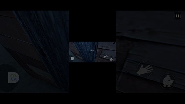 1000002271.mp4