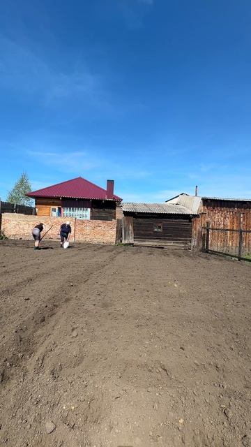 РОСКОШНИЦЫ ОГОРОДНИЦЫ