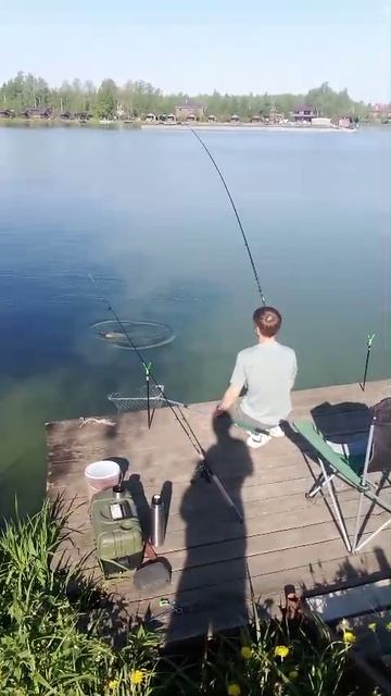 WhatsApp Video 2025-05-24 at 07.59.20