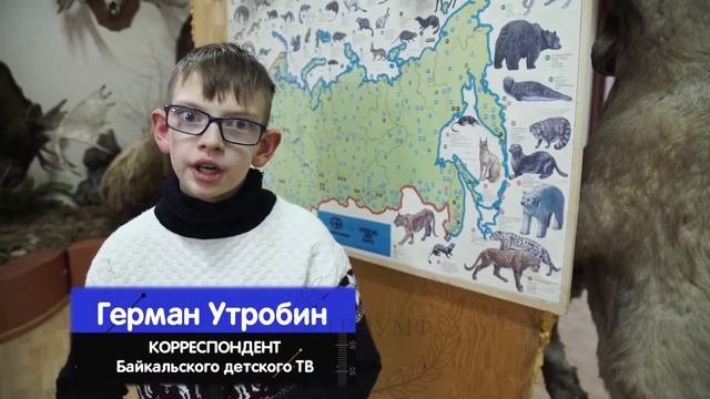 Репортаж из музея Охотоведения