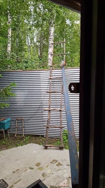 с добрым утром от белок