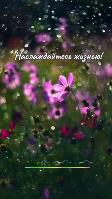 Жизнь прекрасна