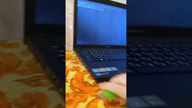 1000007979.mp4