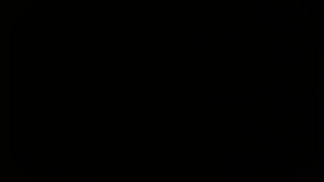 10000241