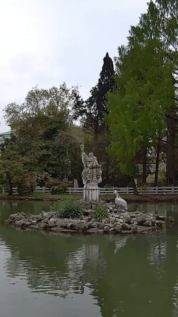 Дендрарий.Большой Сочи.The arboretum.Greater Sochi.