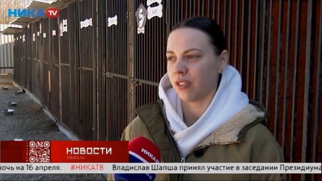 Щенки ищут дом! Ребятам по 4 месяца, три девочки и один мальчик)