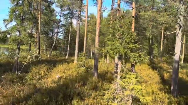 Экскурсия и заброска