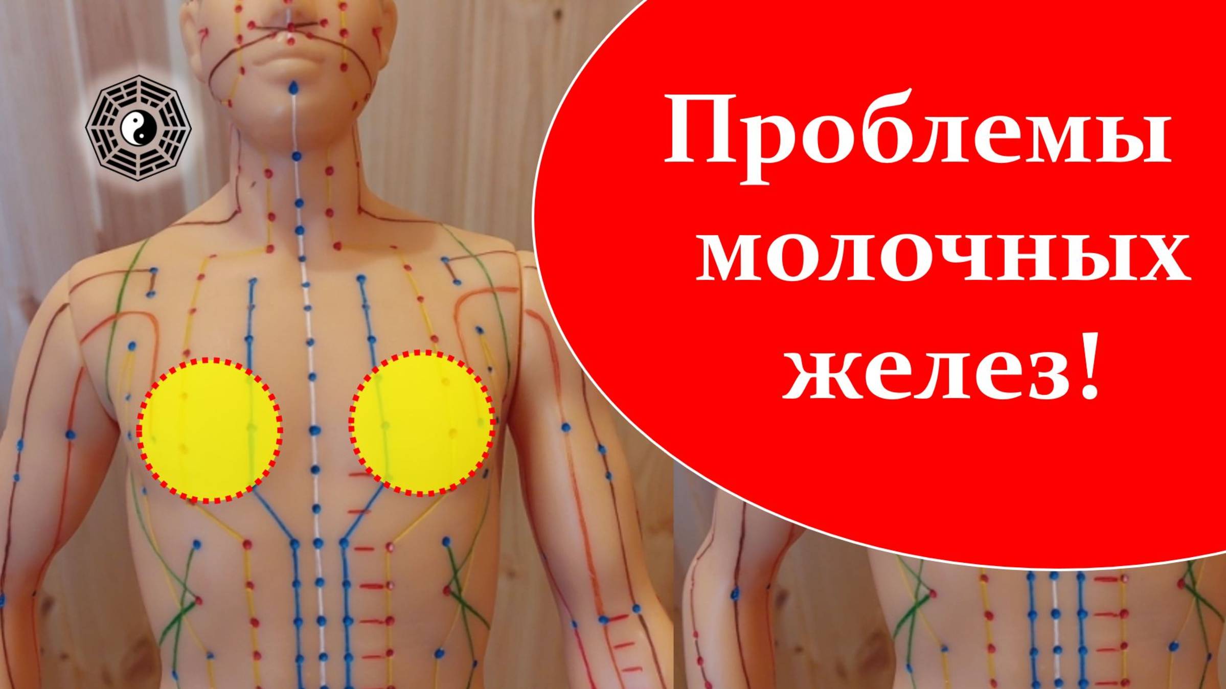 422 Молочные железы и точки на них 08