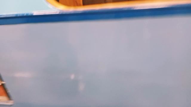 17.05. Парад поездов на станции метро Партизанской